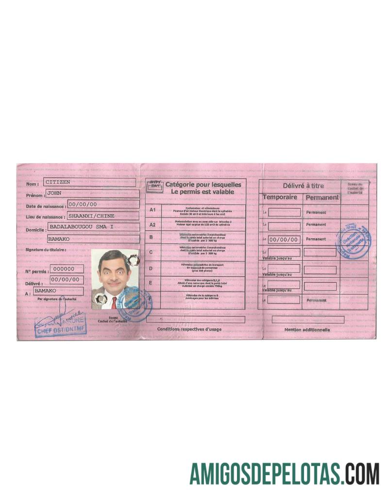 Carta de condução do Mali exemplo real